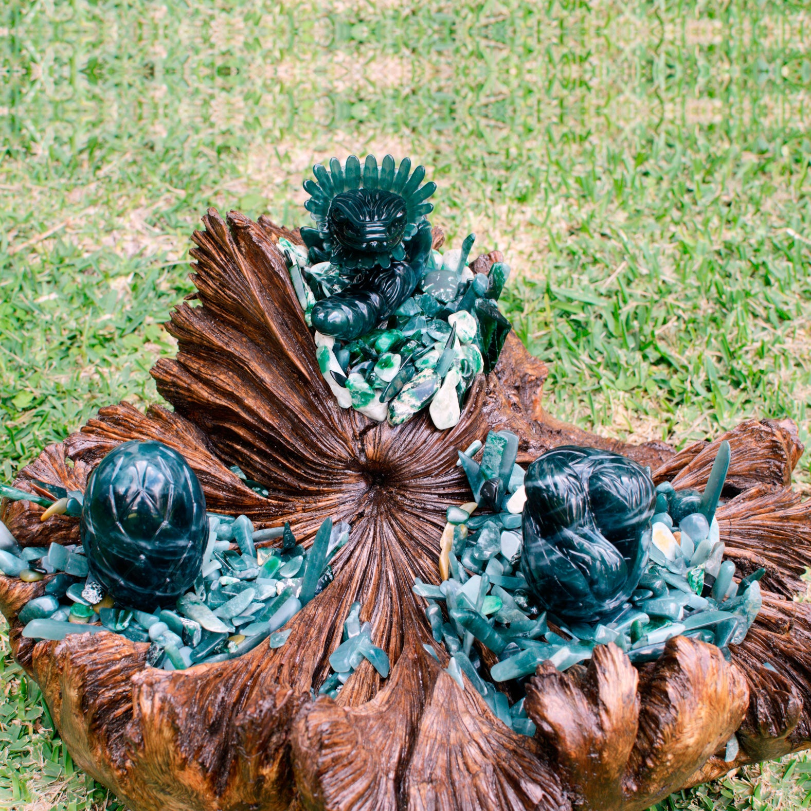 dieffenbachia mayan jade Dawn of a Deity – Jade Maya